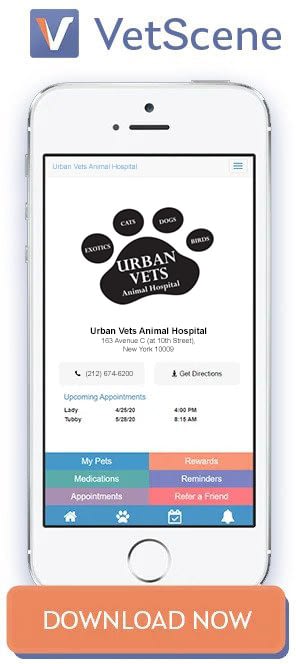 Download Our App - Urban Vets Animal Hospital